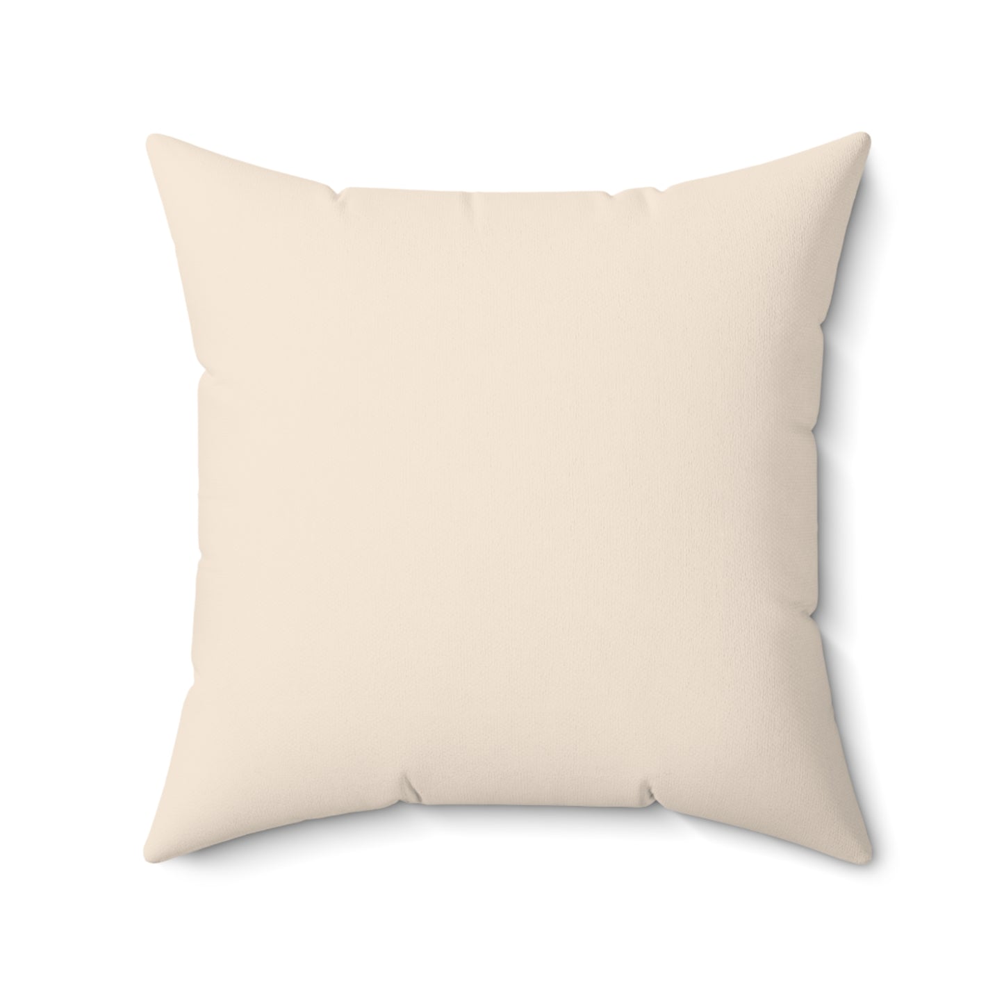 Merry and Moisturized - Esthetician Pillow Gift