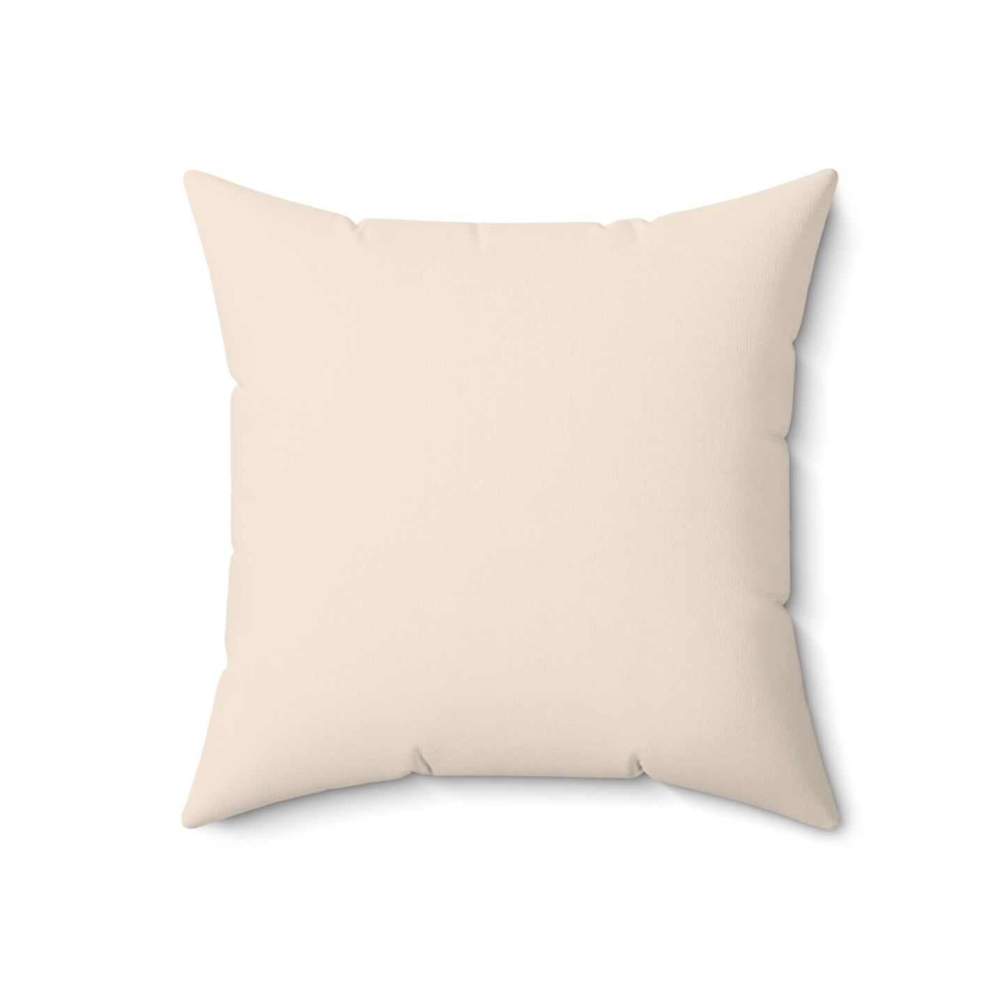 Merry and Moisturized - Esthetician Pillow Gift