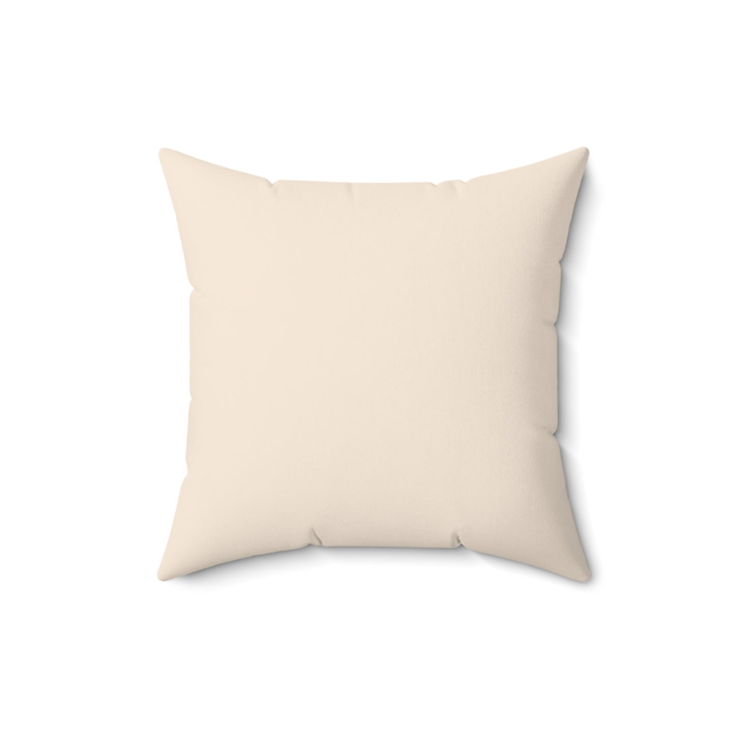 Merry and Moisturized - Esthetician Pillow Gift