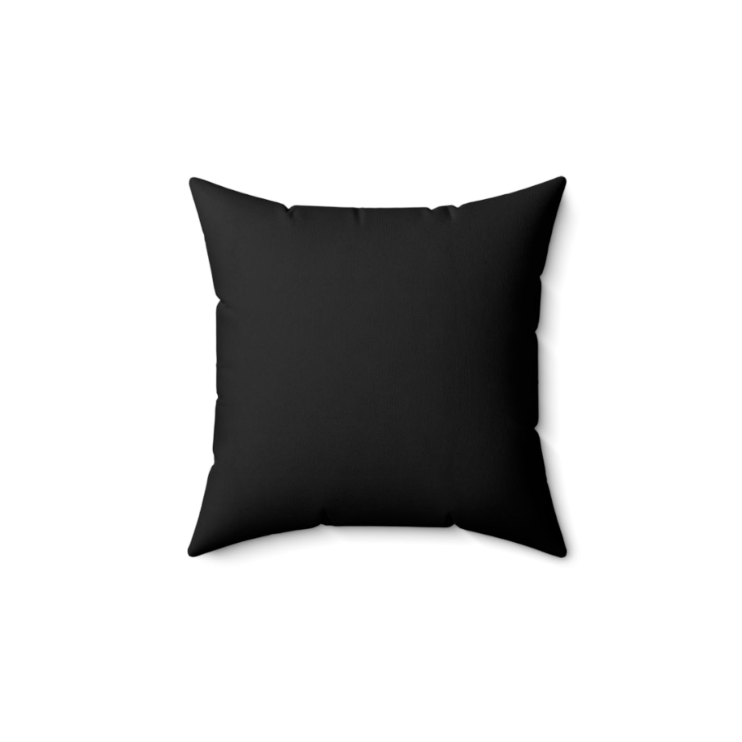 Esthetician Pillow Gift