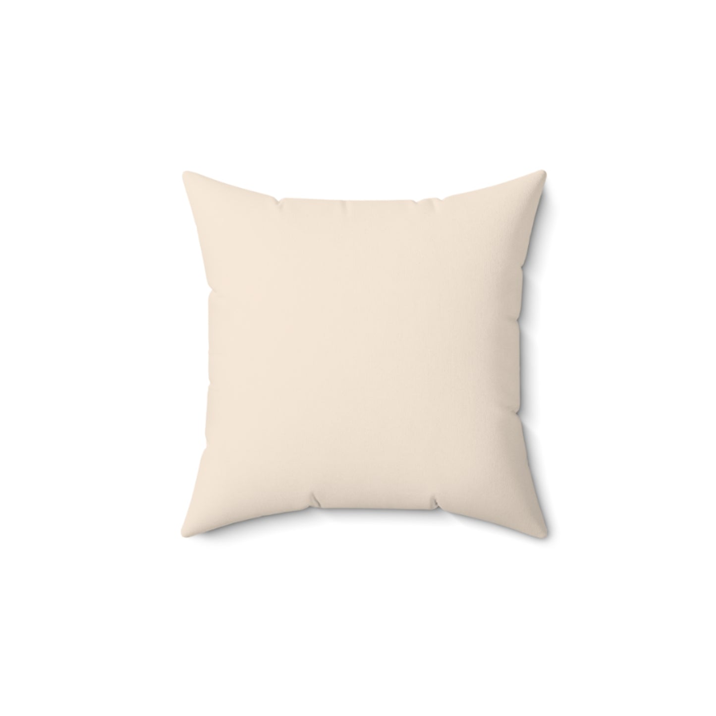 Merry and Moisturized - Esthetician Pillow Gift